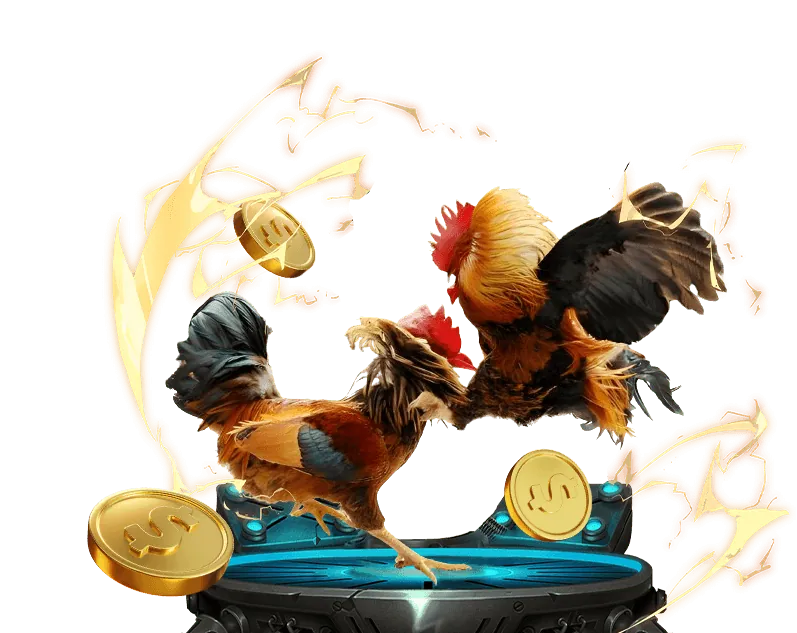 Các loại kèo cá cược đá gà phổ biến tại 12BRT Link Mới